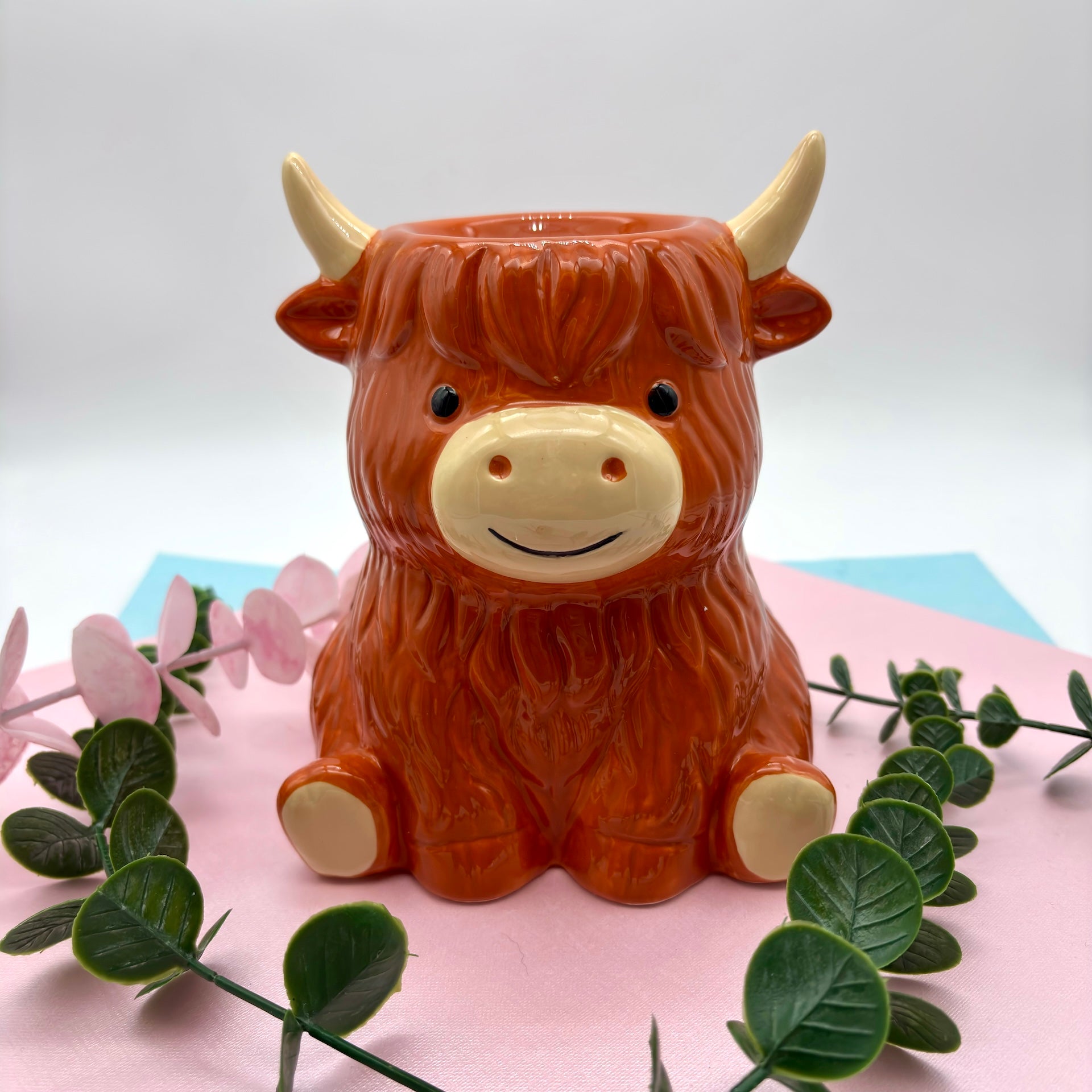 Quemado vaca Highland