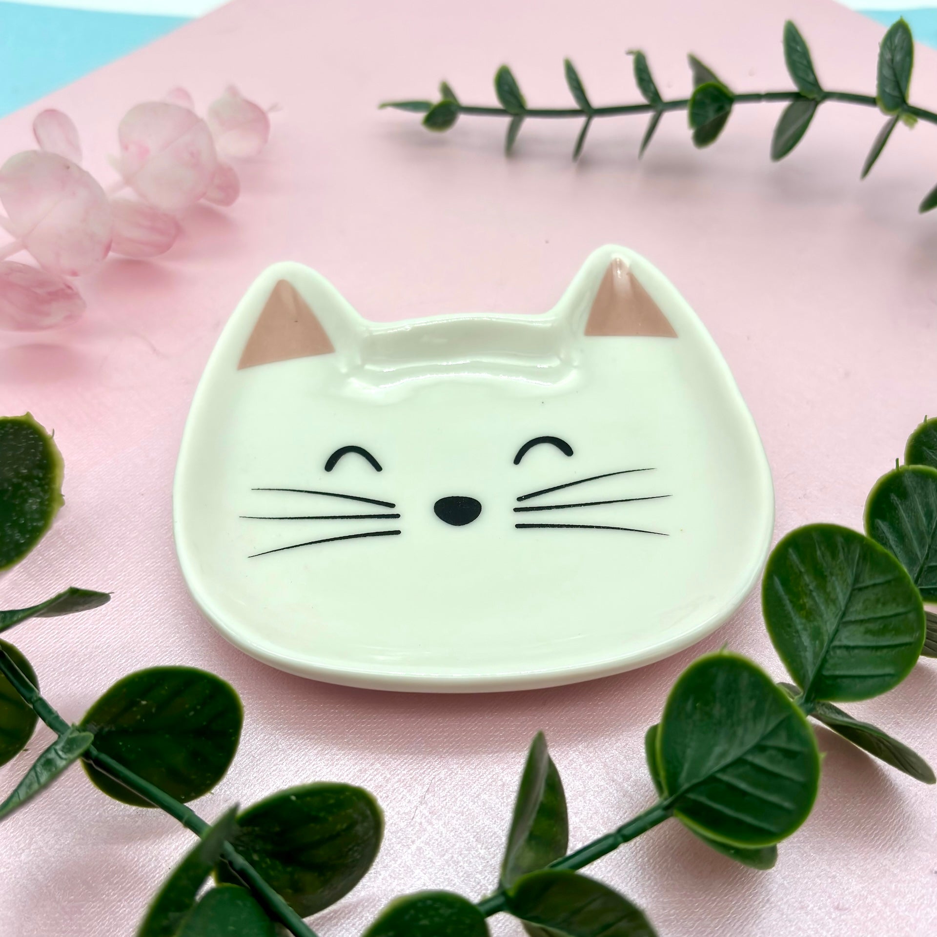 Plato carita Gato